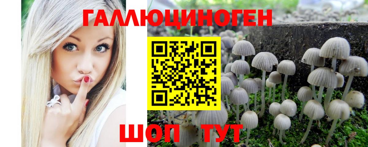 Псилоцибиновые грибы MAGIC MUSHROOMS Красноармейск